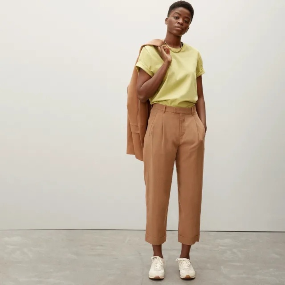 Everlane The Put-Together Pleat Pant